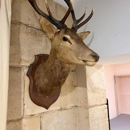 En Pierre Proche De Notre Dame De Appartamento