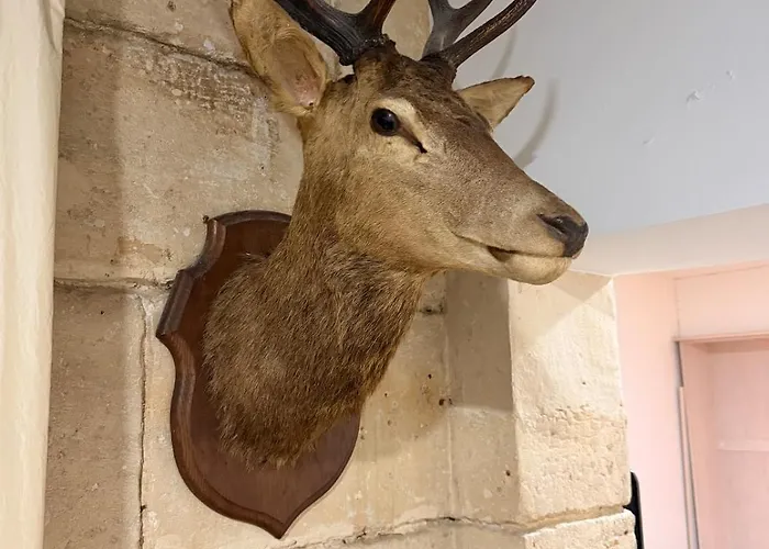 En Pierre Proche De Notre Dame De Apartamento